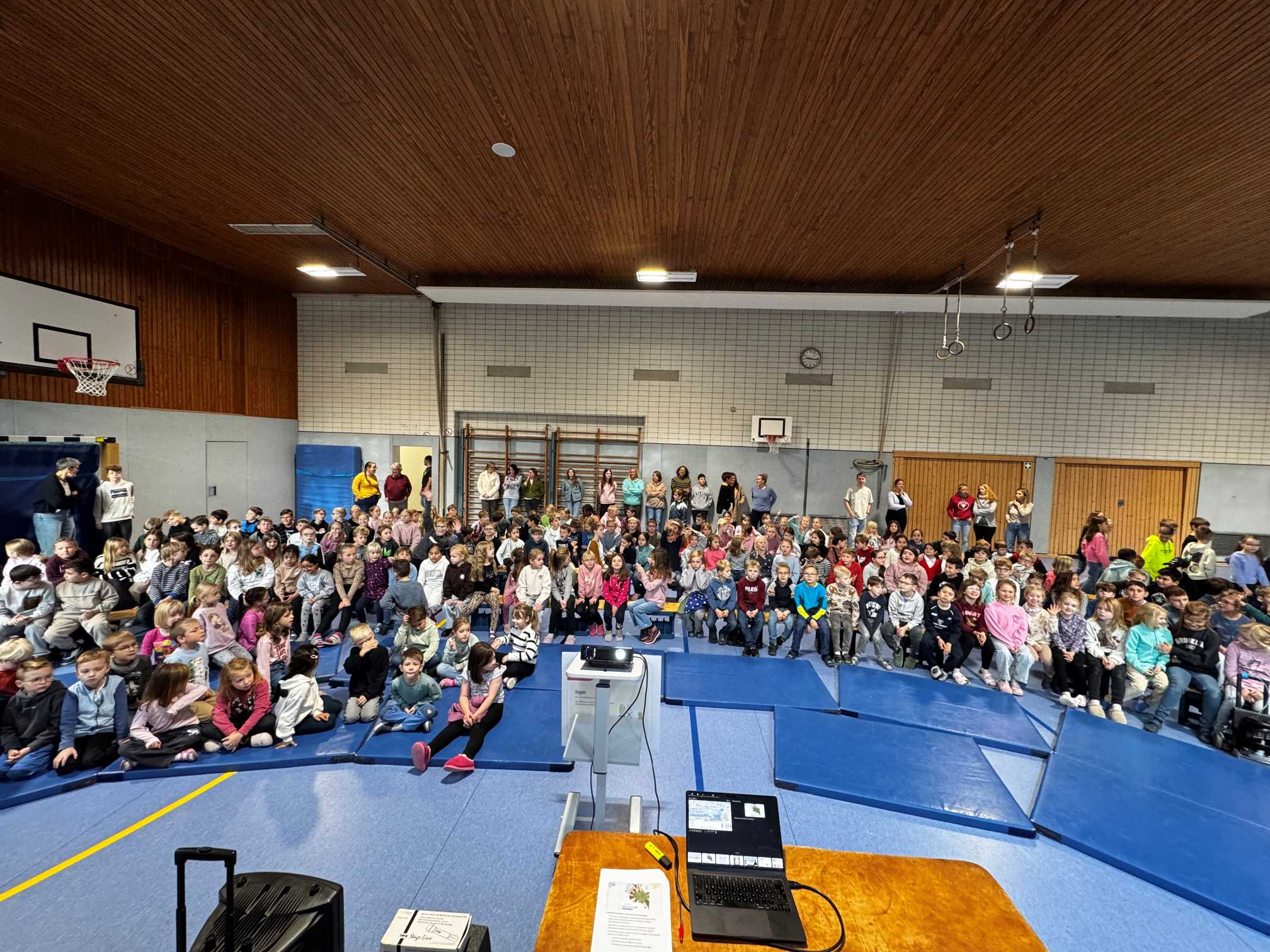 513999AE 65C0 44A8 B788 878C6C508A64 klein